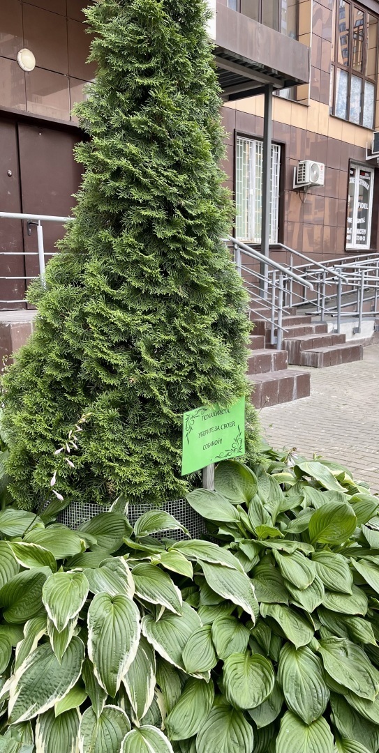 В Думе поддержали проект о штрафах за неправильный выгул домашних животных