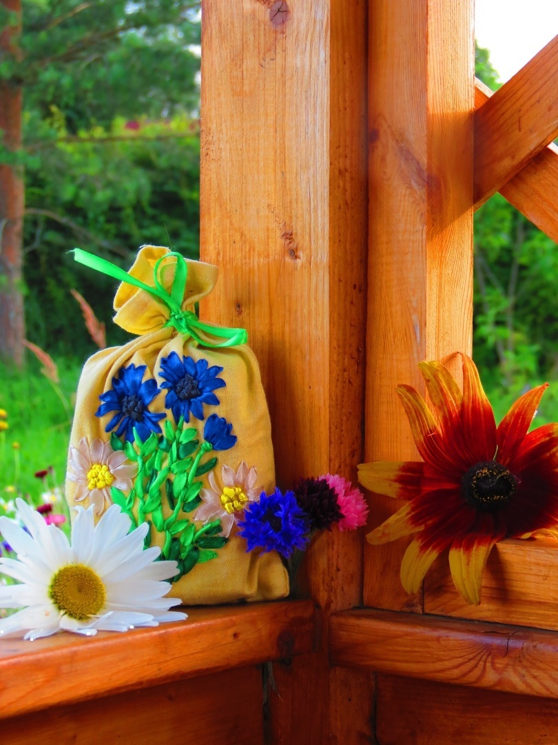 О том, как я начала собирать лекарственные травы и что из этого вышло