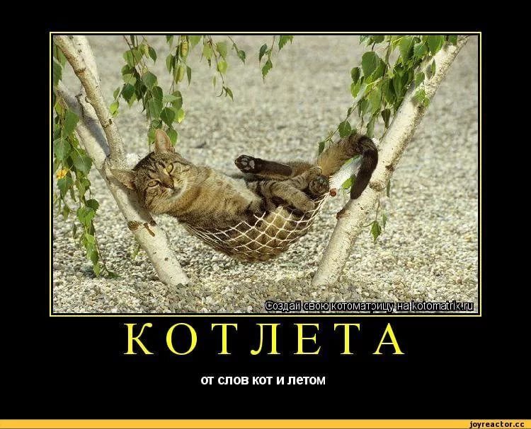 Весёлые картинки (часть 50)