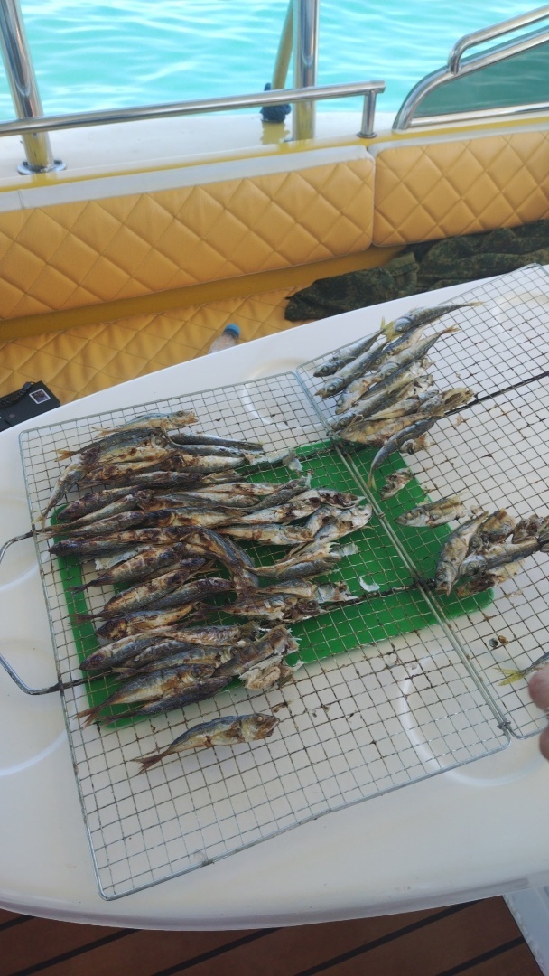 Как мы съездили на морскую рыбалку в Сочи 💞🌍