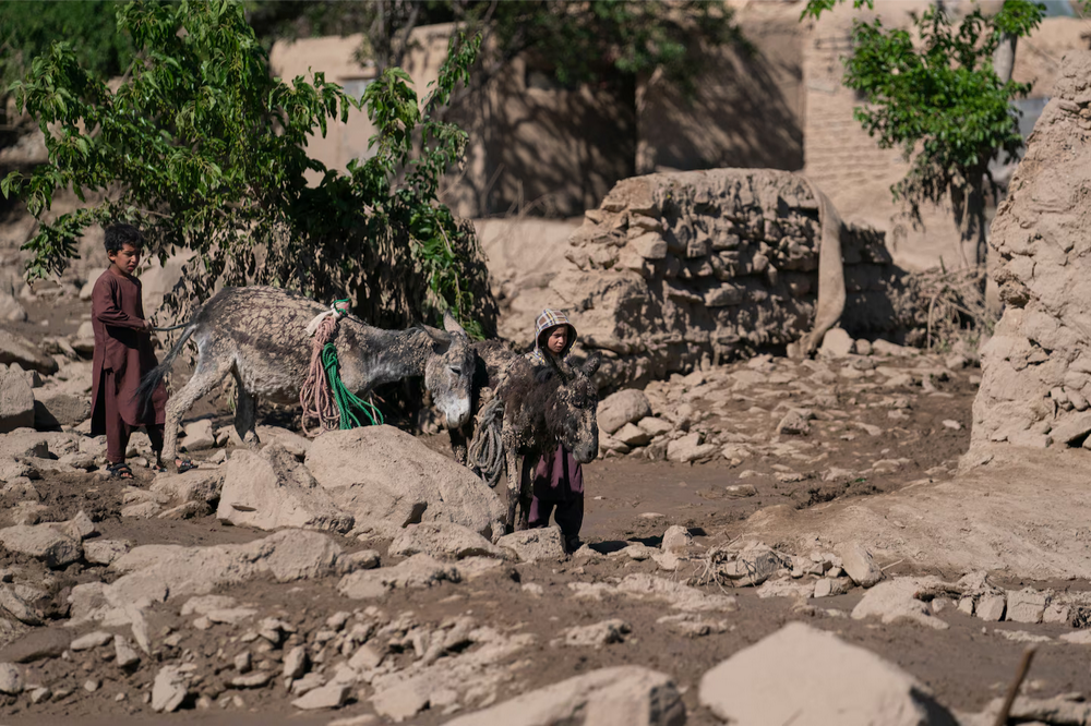 Талибан пытается примирить науку и религию в борьбе с изменением климата