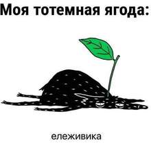 Виктория, г. Донецк