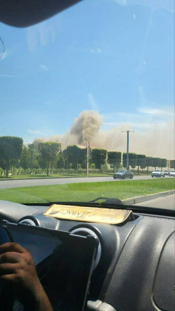 В Краснодаре загорелся знаменитый парк Галицкого.