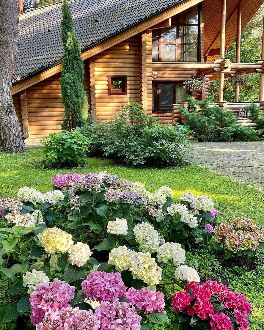 София Ротару обвиняется в мошенничестве в Ялте.