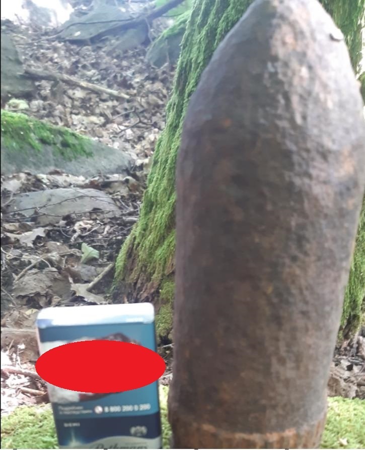 Шёл я лесом, видел чудо...