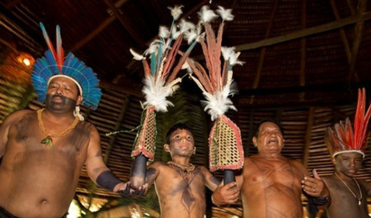 Бразильские страсти и жестокие обычаи в племенах! Хочешь стать мужчиной, терпи ужасную боль!