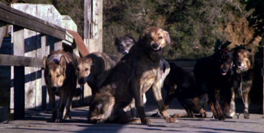 Школьные битвы: учитель против учителя или все на одного