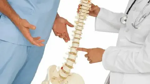 Вертебрология- что это такое и для чего его применяют: