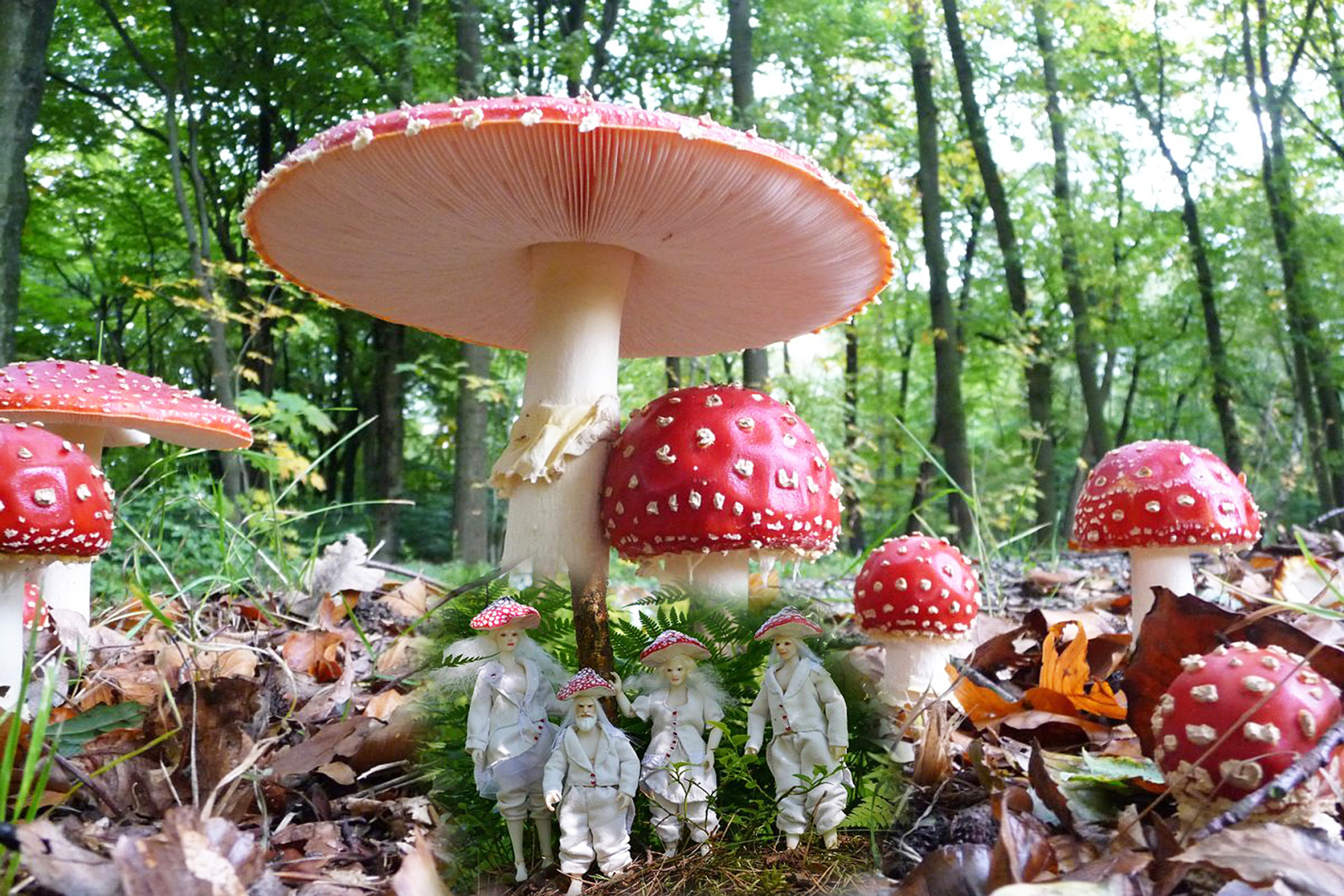 Что такое галлюциногенные Растения Силы? Это наркотики? Первая часть