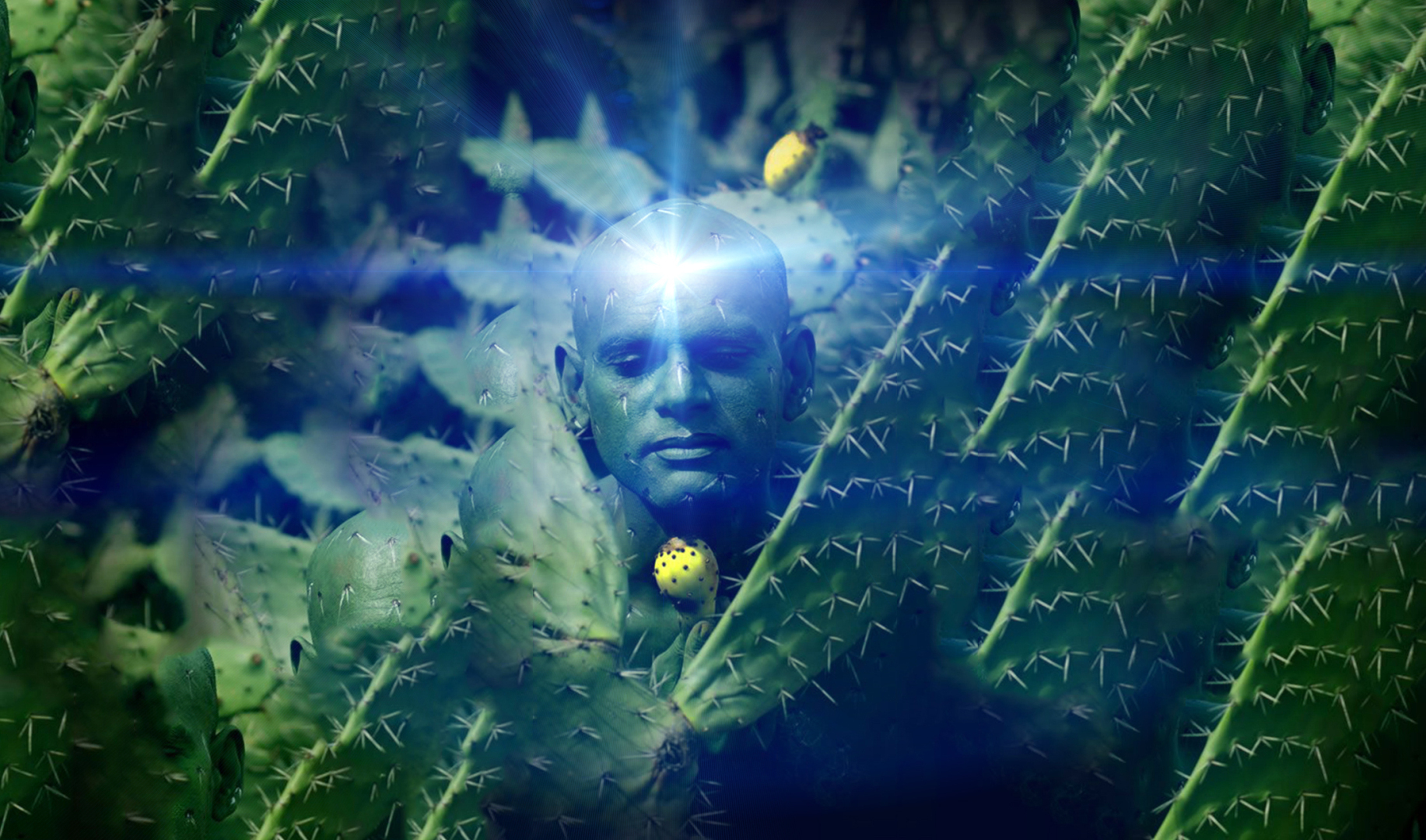 Бесы и демоны. Могут ли они знать будущее человека и даже его судьбу?