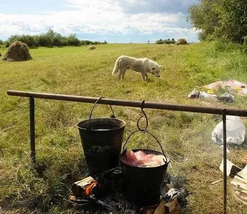С Днем Казанской иконы Божьей матери!