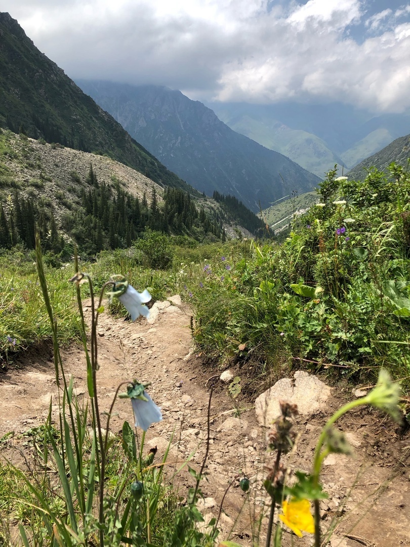 Неудобная правда или почему, как на дрожжах, растут услуги ЖКХ, и не только