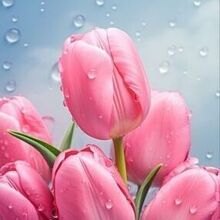 Емельяненков Борис Вячеславович, г. Москва