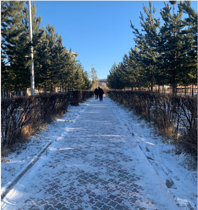 Зачем ездят в санатории? Не столкнувшись и не знала об этом