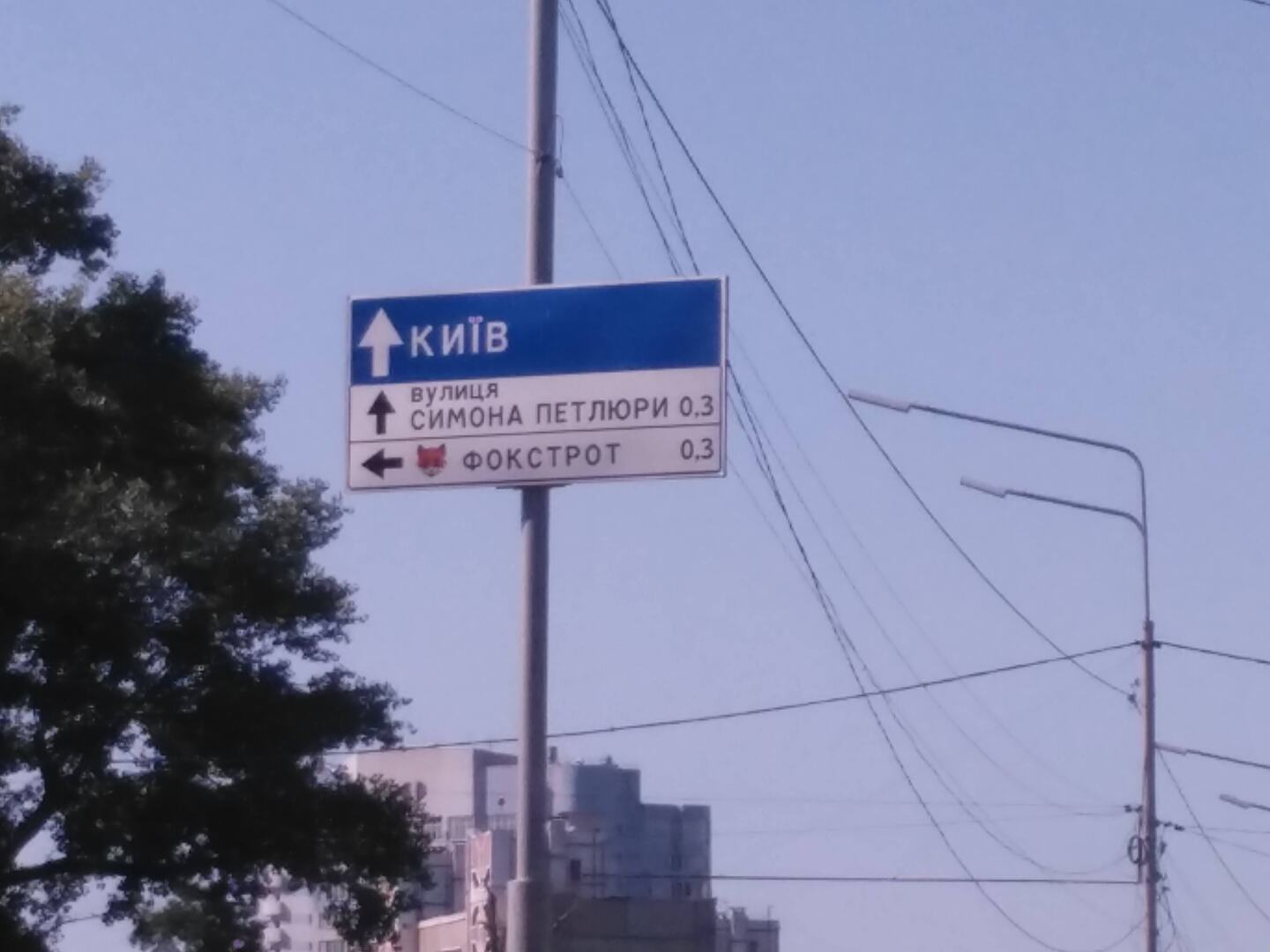 Дождались! Киев заявил, что готов к переговорам с Москвой