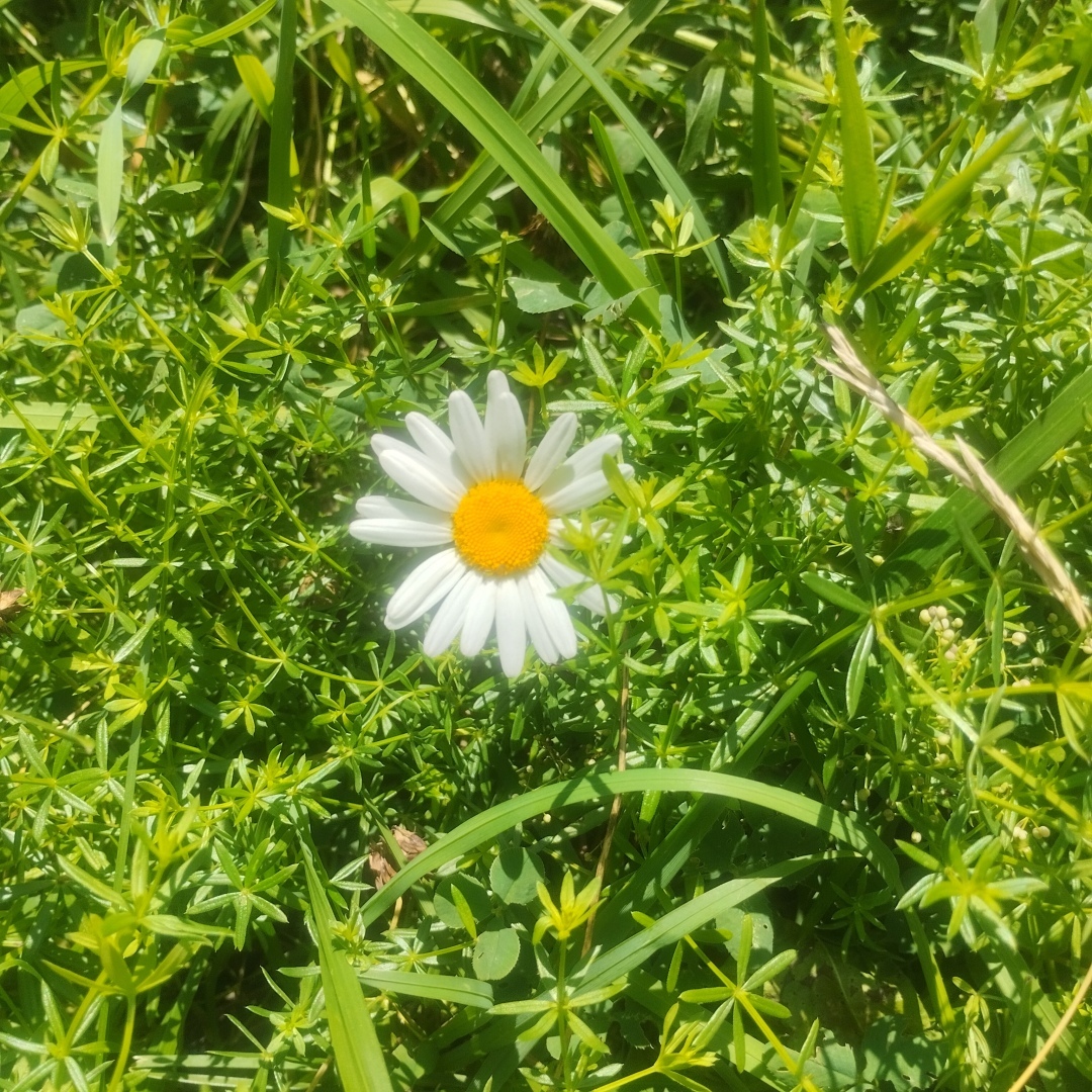 Правда ли, что единственное ипотечное жилье не будут взыскивать при банкротстве?
