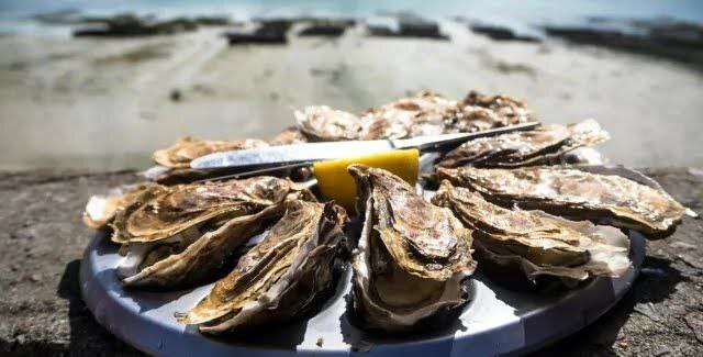 Пластик в живом мире, мы то, что мы едим....Берегите свою жизнь...