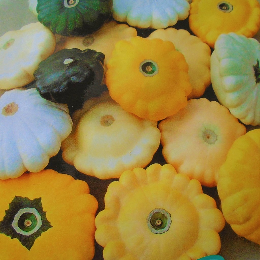 Купил еще горох, патиссоны и арбуз. Горох подсажу к кукурузе, патиссоны тоже. Арбуз видно оставлю на следующий год. Ой нет. Посадил тоже.