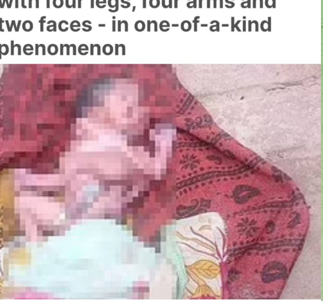 Чудо или кошмар?