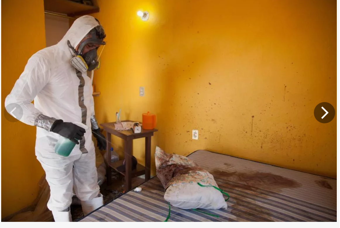 Необычные, интересные и высокооплачиваемые профессии