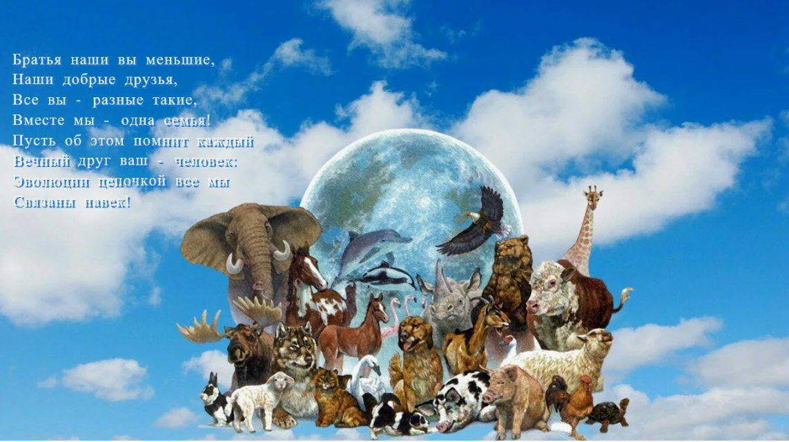 А вы знали? Поразительные факты о животных