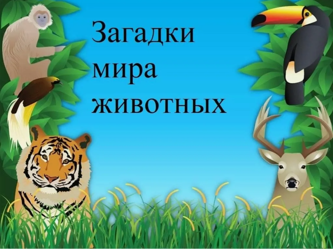 А вы знали? Поразительные факты о животных