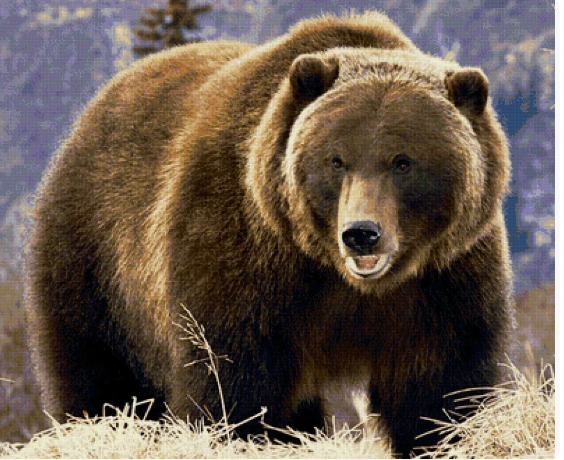 А вы знали? Поразительные факты о животных