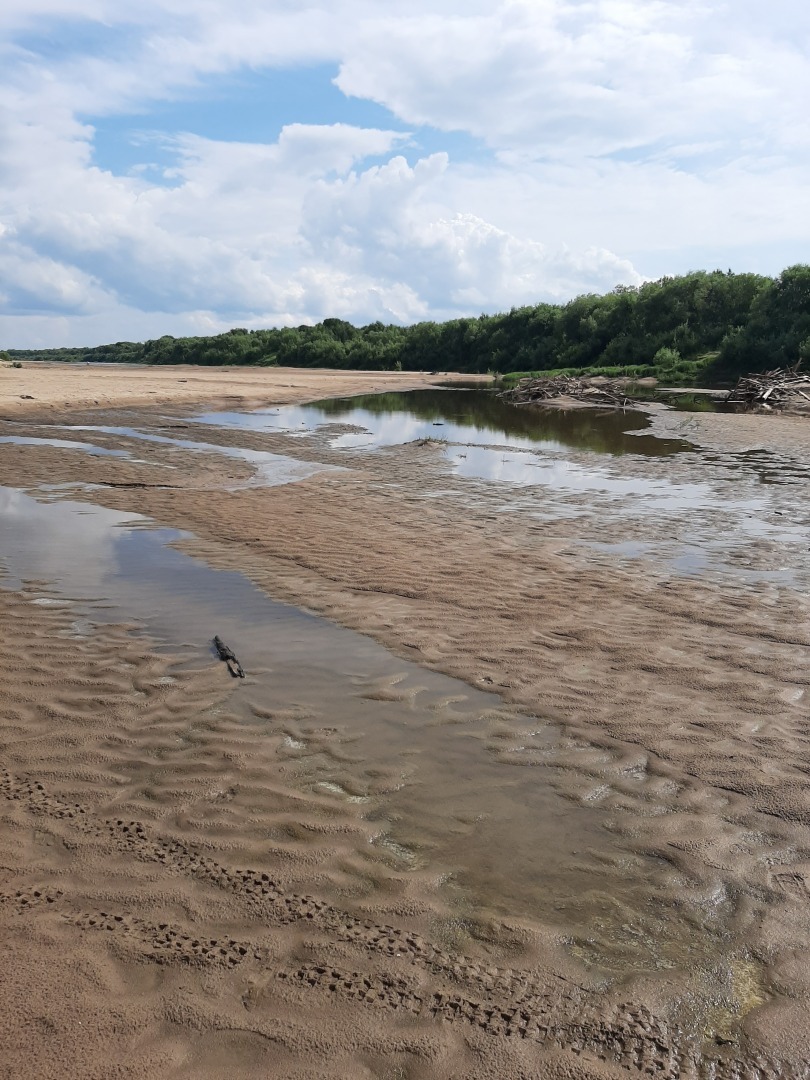 Спуск к пляжу на деревенском острове завален деревянными палками: это опасно для отдыхающих и наносит вред экологии