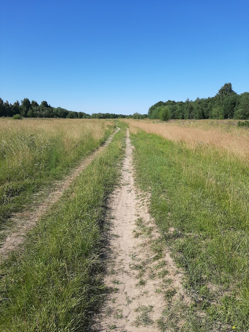 Спуск к пляжу на деревенском острове завален деревянными палками: это опасно для отдыхающих и наносит вред экологии