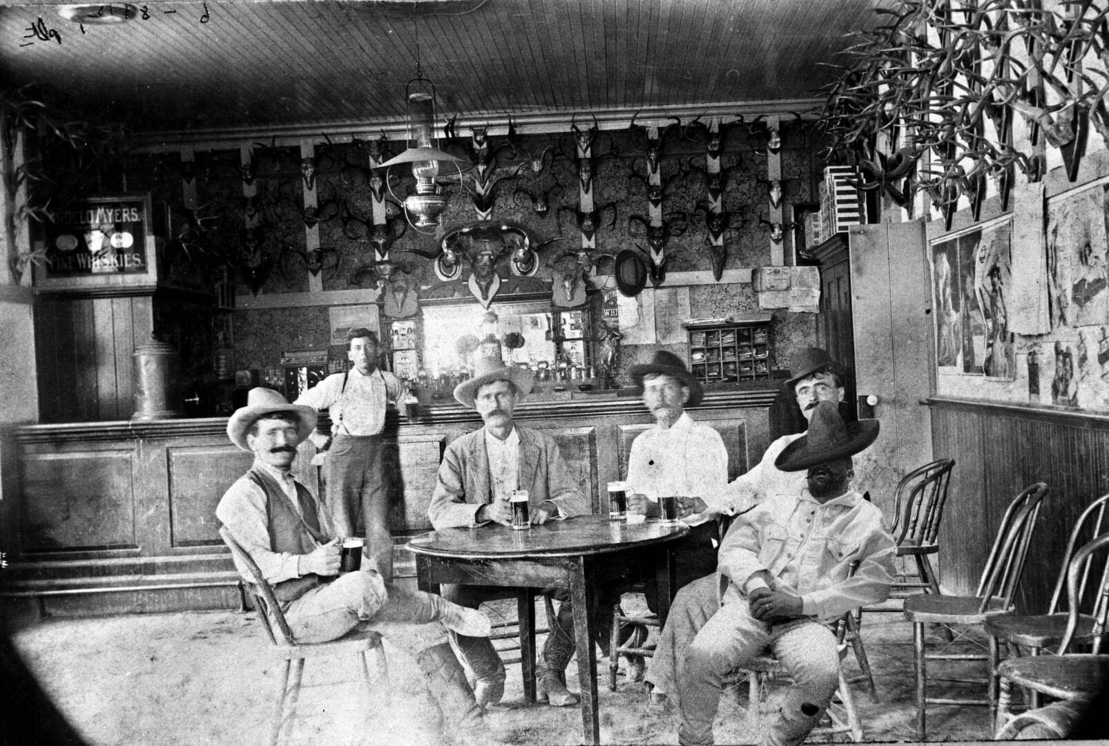 Клан Трампов, кто такие Трампы и откуда они эмигрировали в США? На чем они создали свой капитал? Часть первая.