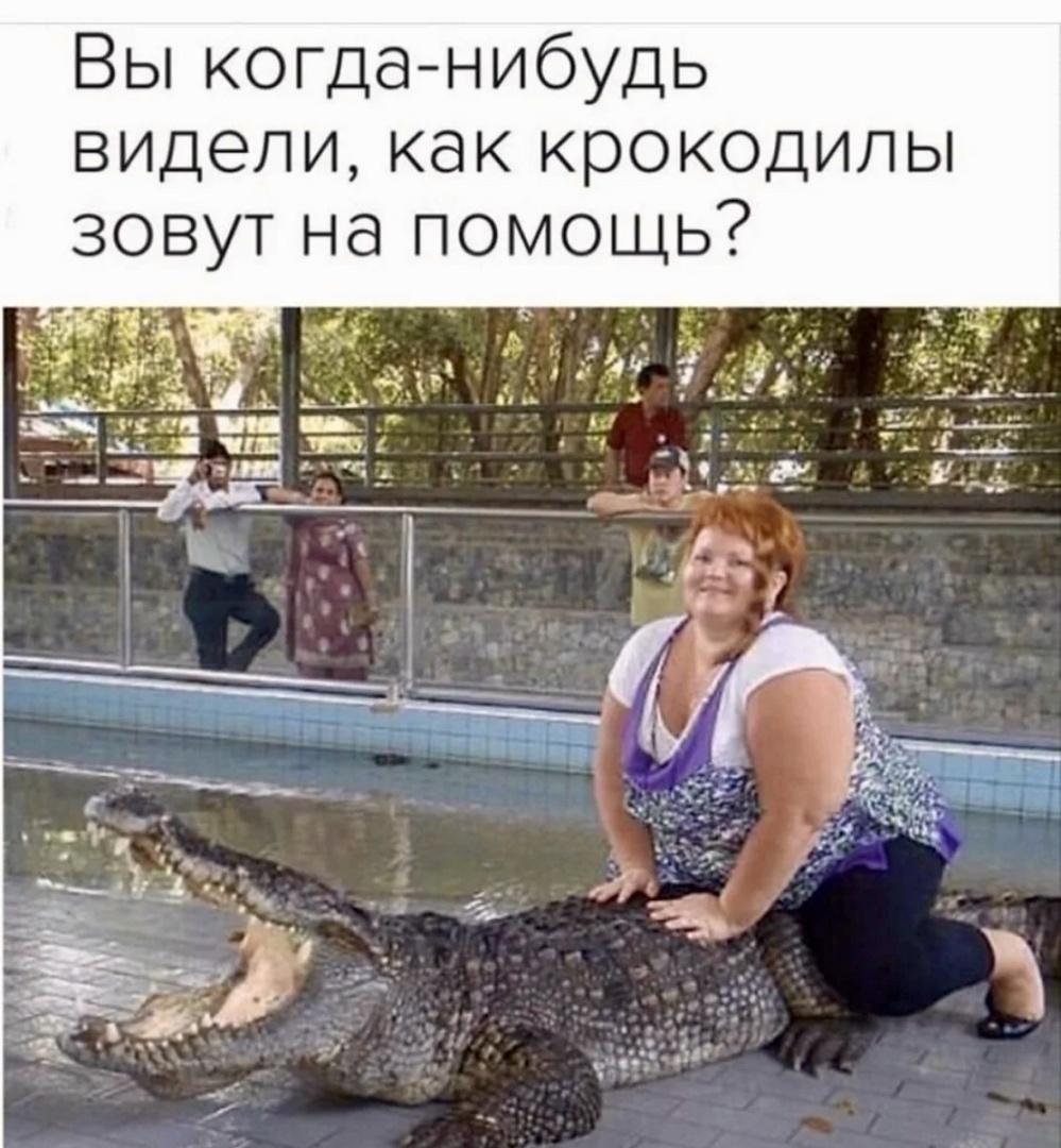 Весёлые картинки про любовь и отношения