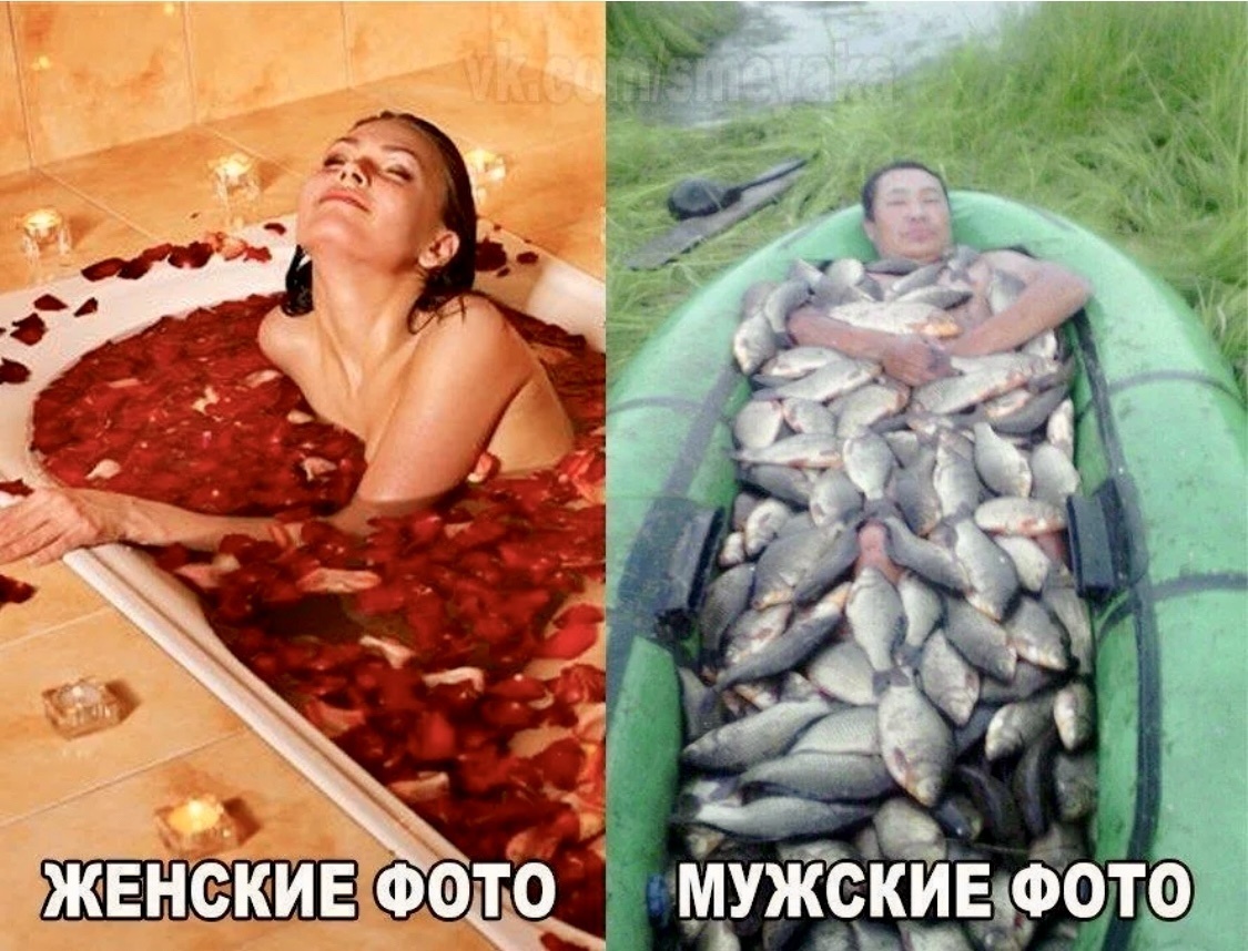 Весёлые картинки про любовь и отношения