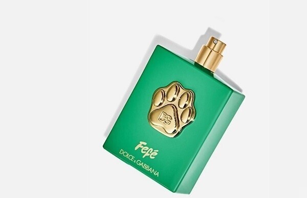 Элитный парфюм для собак от Dolce&Gabbana