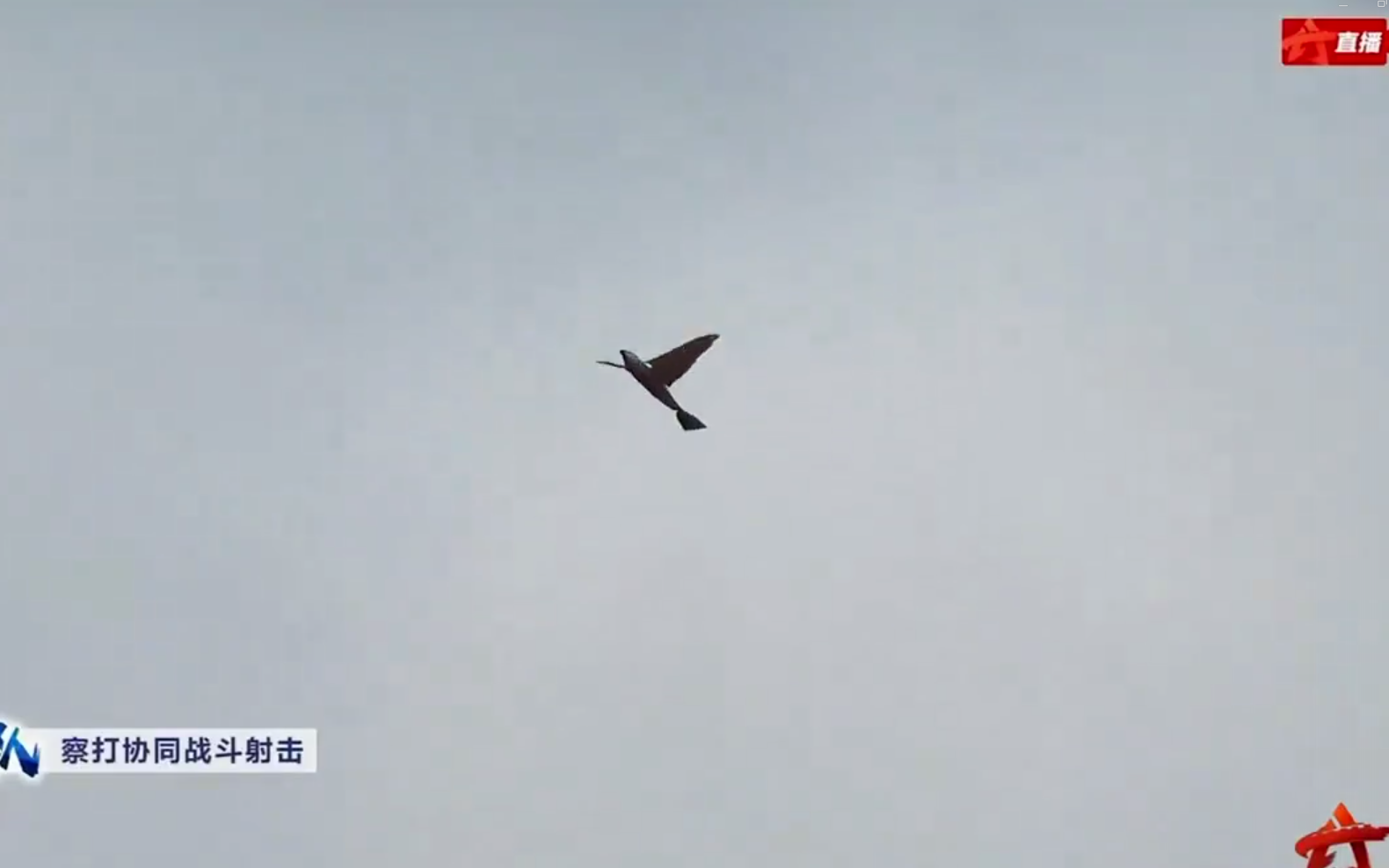 Новая разработка Китая: БПЛА для морской пехоты в форме птички