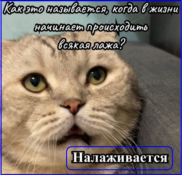 ✔️ Абсурд навязанной рекламы или Пиар-рифмоплюйство для НЕЗНАЕК👀