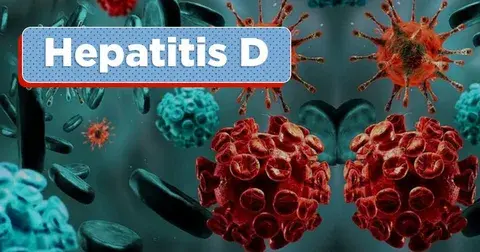 Гепатит, Вирусный гепатит, Что это такое?!