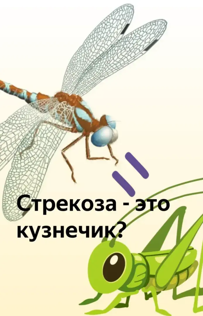 Неожиданная история. Факты, о которых мало кто знает