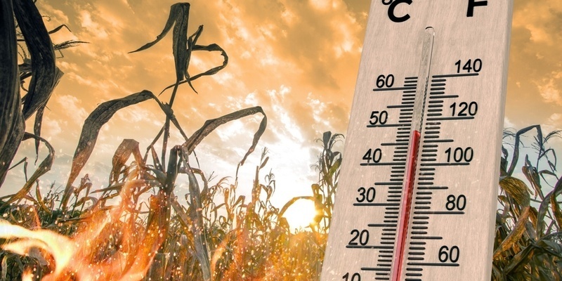 Не допустить «переломного момента». Рост температуры на Земле ведет к изменению климата