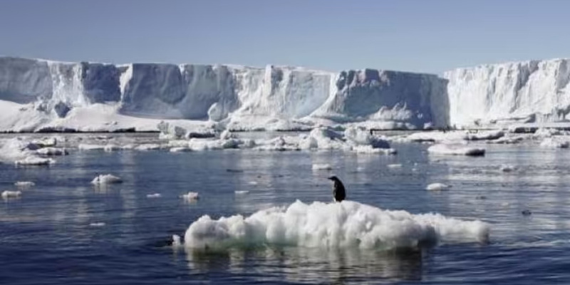 Не допустить «переломного момента». Рост температуры на Земле ведет к изменению климата