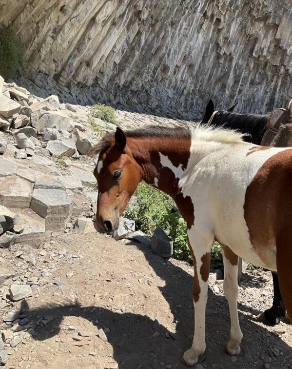 Ущелье Симфония камня (Армения, Гарни) - Очень необычно
