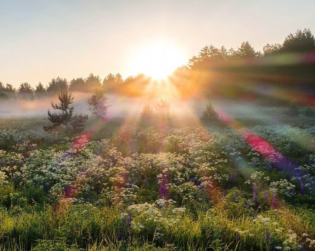 А вы когда-нибудь видели белую радугу?