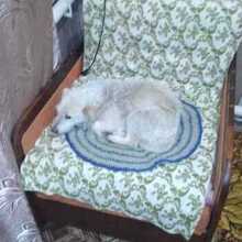 Виктор Николаевич, г. Ливны