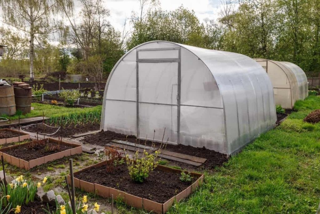 Через сколько лет нужно менять поликарбонат для теплицы