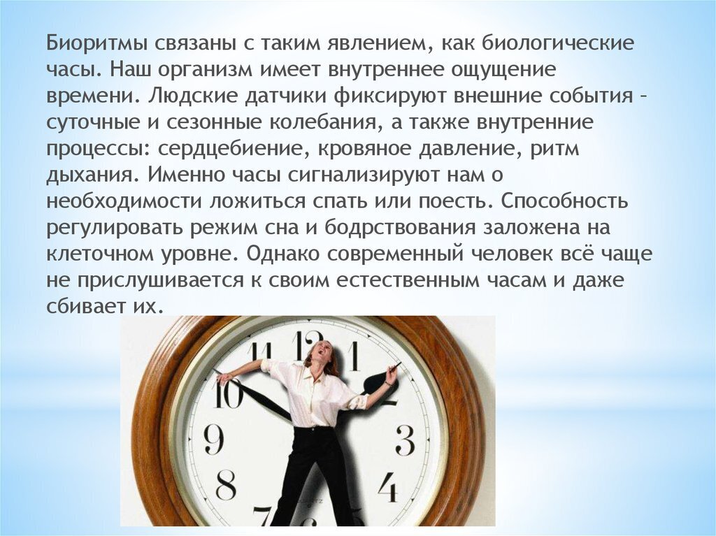 "Жаворонок", "сова" или "голубь" - кто вы? Хотите узнать как ваш хронотип влияет на вашу жизнь?
