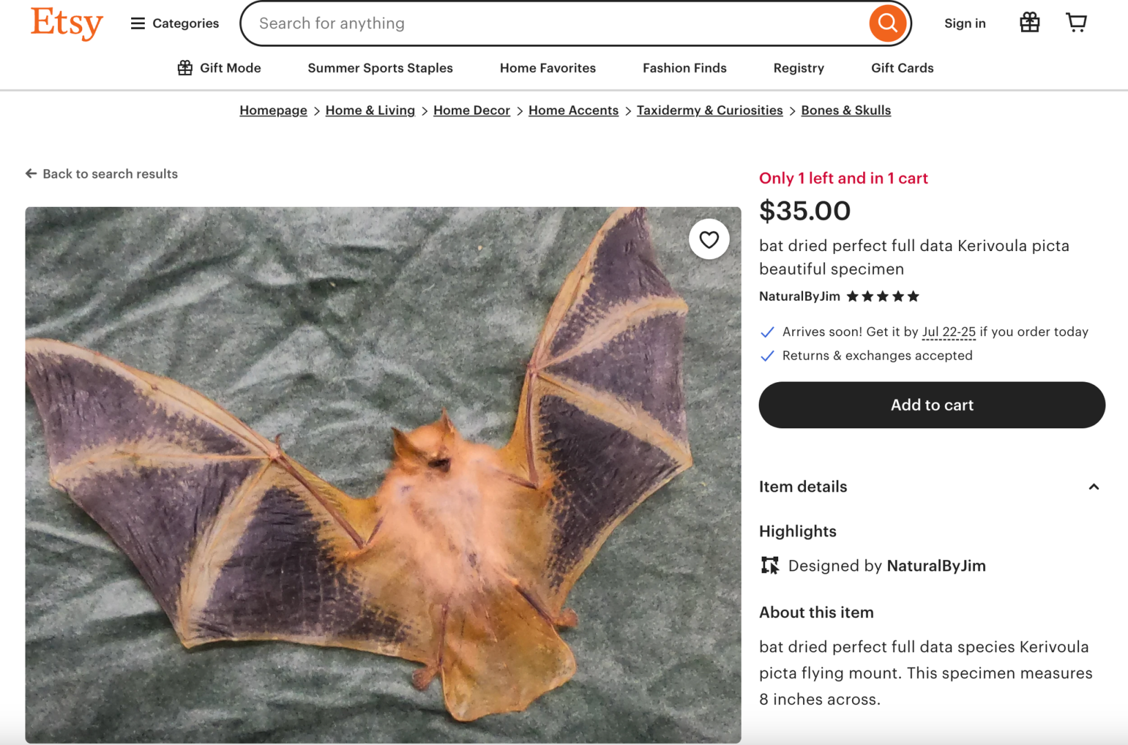 Летучие мыши уже боролись. Теперь они продаются на EBay