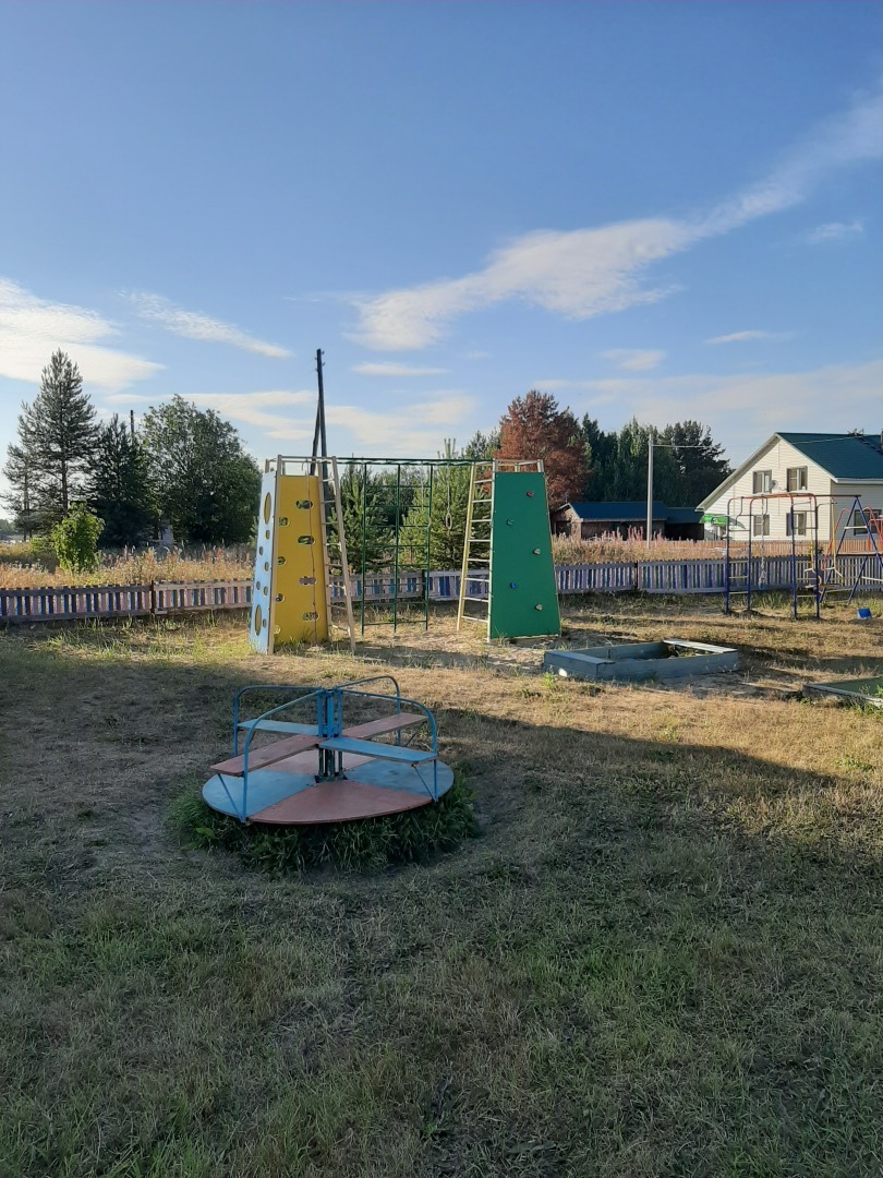 Как мы посетили детскую площадку в деревне, или ТОСы как форма благоустройства территории в сельских условиях. Можете применять