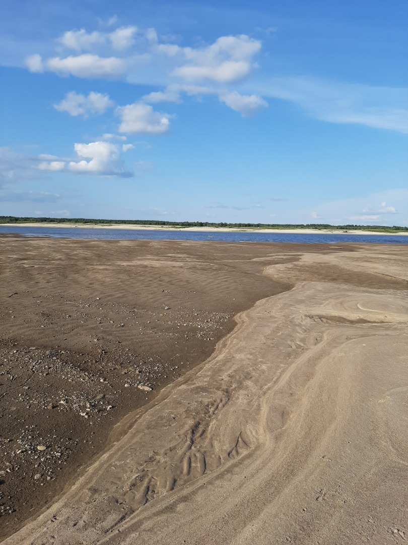 Мой отдых на пляже реки Северная Двина: личные впечатления и выводы автора