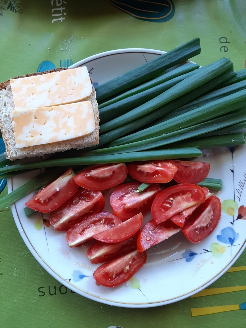 Мой отдых на пляже реки Северная Двина: личные впечатления и выводы автора