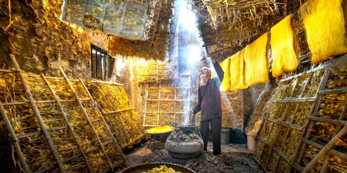 Что такое Шелковый путь и почему он так важен?