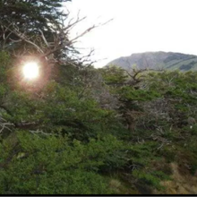 Aлександра, г. Москва